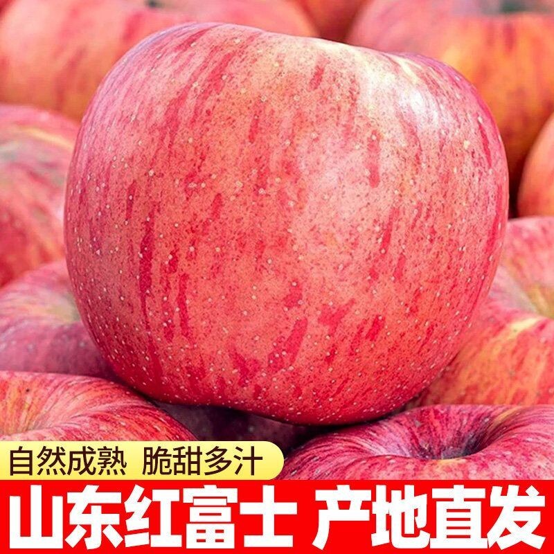 正宗山东烟台苹果水果新鲜脆甜当季丑平果5斤9斤新果冰糖心凉山