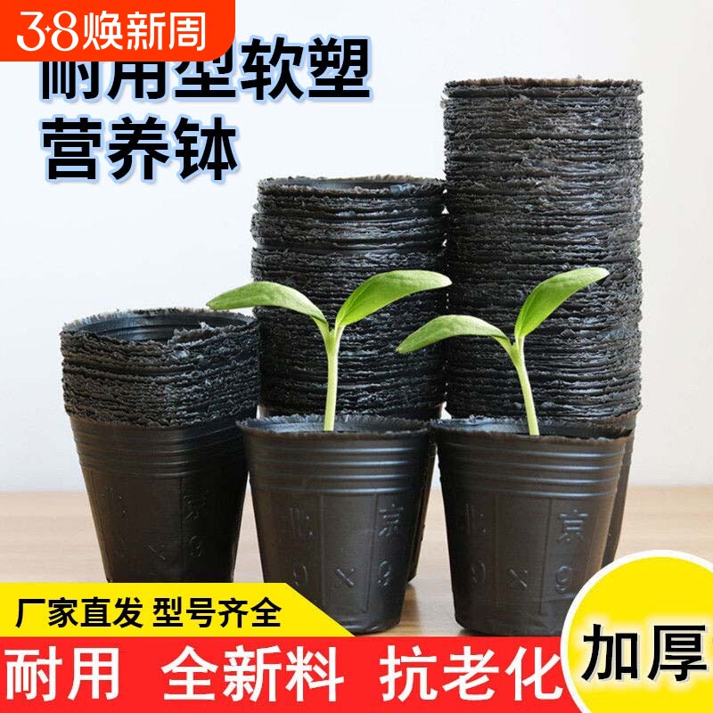 营养钵育苗杯一次性花盆种植盆塑料园艺花卉种子苗木育苗袋杯扦插