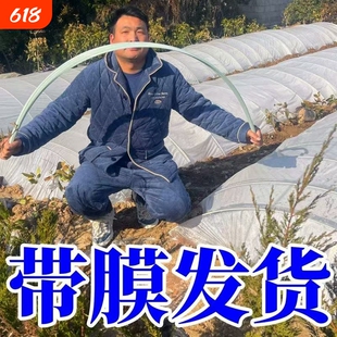 小拱棚杆菜棚玻璃纤维拱杆骨架育苗棚支架室内种植蔬菜花卉绿植