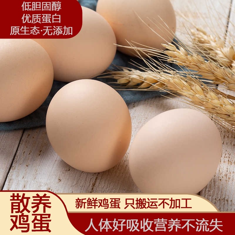 正宗农家土鸡蛋散养草鸡蛋山林虫草蛋新鲜营养蛋柴鸡蛋45g±5g/