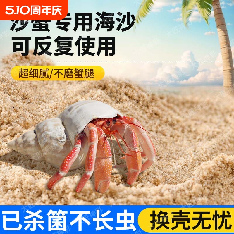 沙蟹寄居蟹专用海沙养螃蟹辣椒蟹替换壳珊瑚沙子鱼缸造景底砂摆件