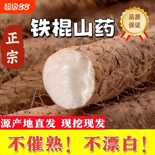 正宗温县垆土铁棍山药5斤农家自种怀山淮山药新鲜现挖特产地直发