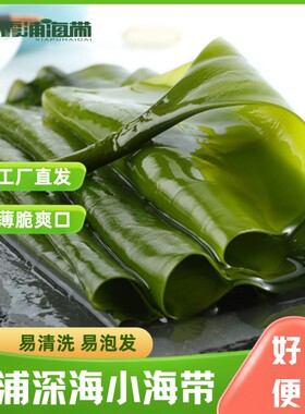 霞浦盐渍深海小海带散装凉拌饭包煲汤海带苗嫩海带新鲜优质无沙