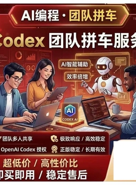 codex team拼车 business套餐pro  会员 稳定保障