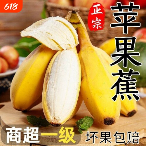 正宗广西苹果蕉香甜香蕉现摘现发芭蕉新鲜水果当季整箱不打催熟剂
