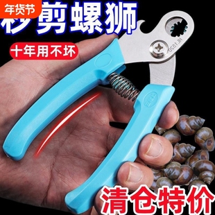 剪螺丝屁股神器田螺螺狮剪尾钳子厨房专用剪刀石螺翦神器锋利省力