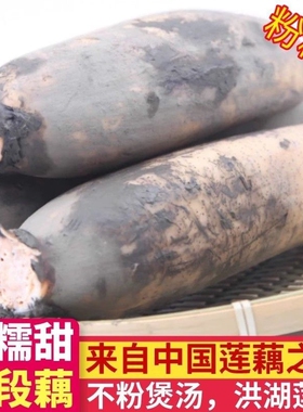 不粉包赔正宗湖北粉藕洪湖莲藕新鲜煲汤粉藕面藕红藕粉糯米藕九孔