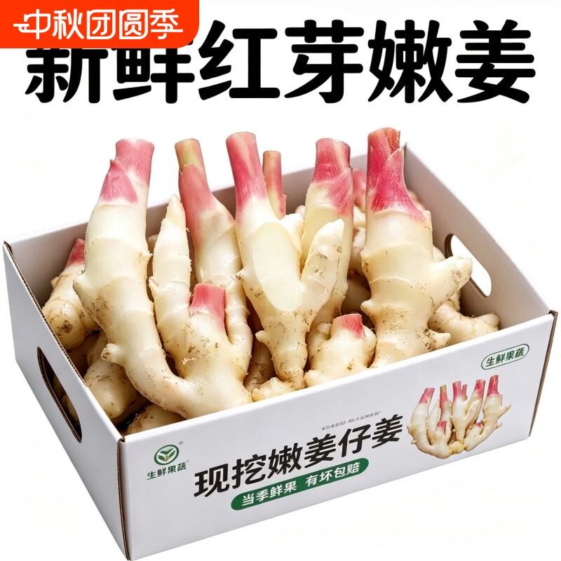 2026现挖嫩姜红芽新鲜大仔姜子姜芽生姜老糖醋姜泡姜食用当季姜汁图片