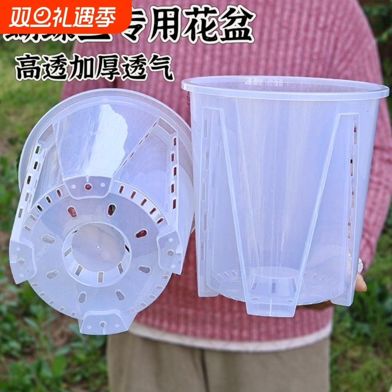 加厚花盆蝴蝶兰花青山透气镂空控根大号石斛盆栽透明育苗钵耐用盆