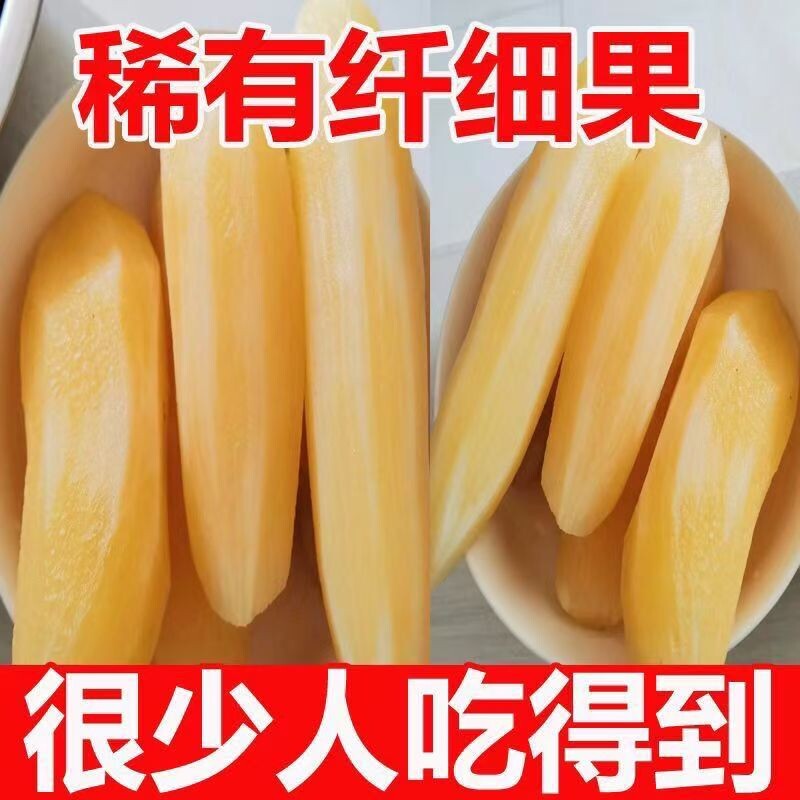 云南天山雪莲果新鲜当季水果雪莲果细长果黄心整箱包邮