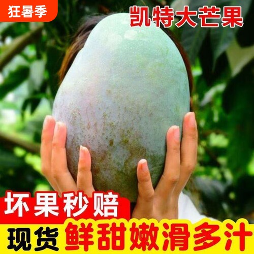 四川攀枝花凯特芒果当季新鲜水果现摘超甜彩虹芒大青吉禄芒果整箱