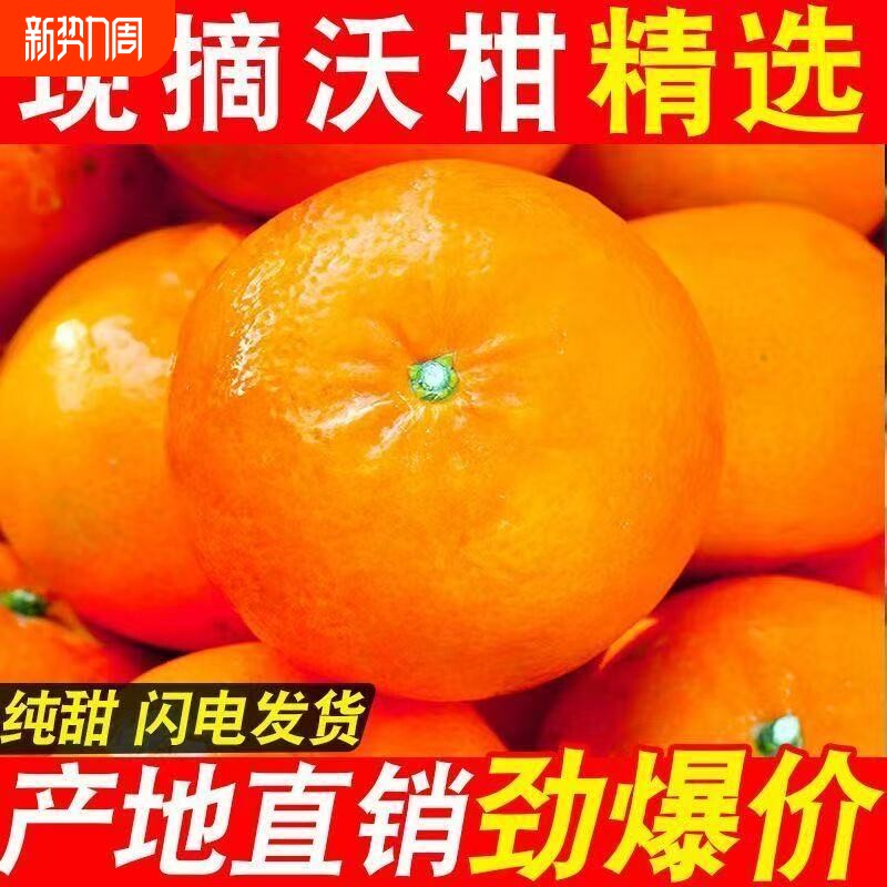 彩箱产地直发包邮现摘沃柑橘子当季新鲜孕妇水果柑橘桔子橙子采摘