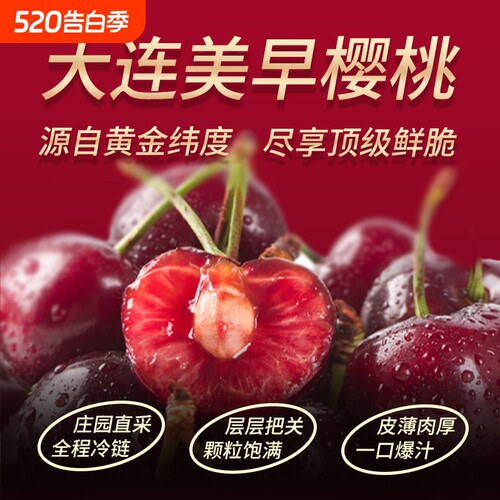 大连美早樱桃1.6斤现摘现发2J-5J
