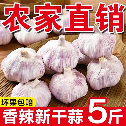 大蒜河南杞县产地直发新鲜蒜头