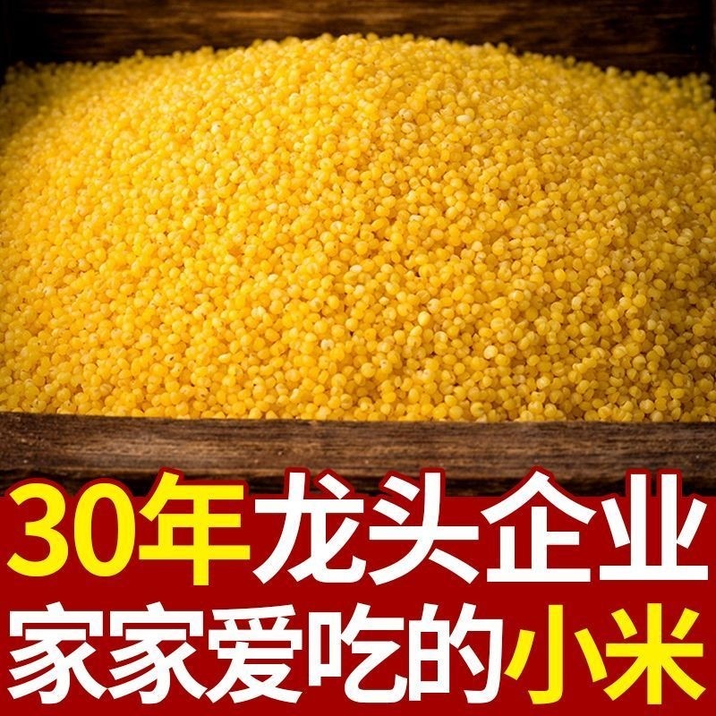 2025年新鲜优质黄小米新米油小米米脂油粗杂粮月子米大金苗袋装