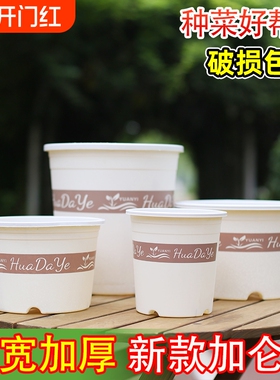 树脂三代白色加仑盆透气多孔排水不闷根阳台带托盘高款新款种菜