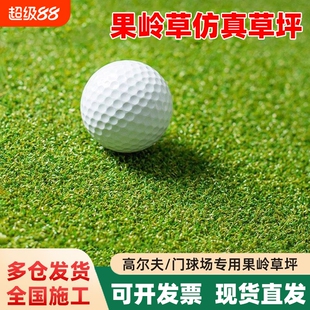 果岭草高尔夫门球场人工仿真草坪户外铺垫塑料曲丝假草皮地毯隔热