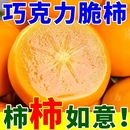 山西巧克力脆柿子4.5斤