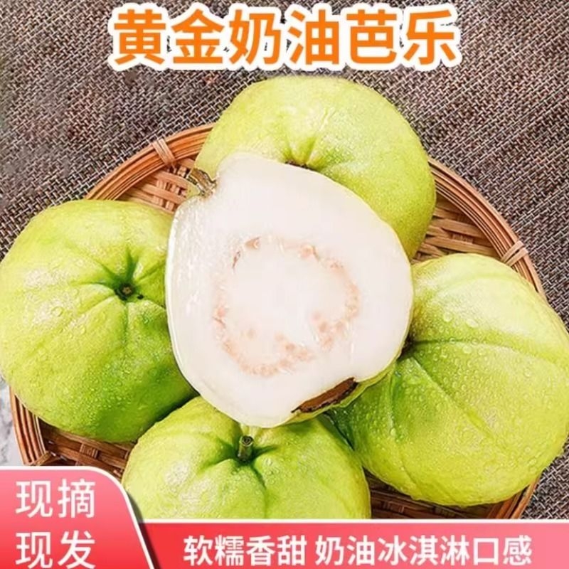 奶油白心芭乐番石榴软糯香甜