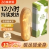 发热鞋垫女艾草加热男暖宝宝冬季暖脚宝12脚底暖足贴充电脚冷取暖