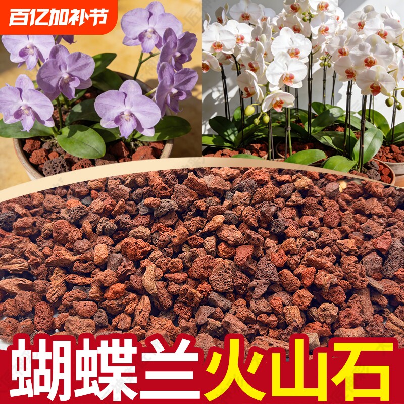 火山石小颗粒养花蝴蝶兰花专用多肉铺面石水培植物铺底鱼缸底砂石