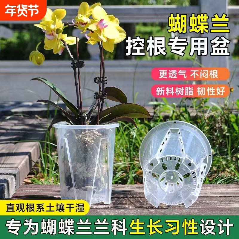 透明控根盆蝴蝶兰花盆专用兰水苔塑料透气镂空大号家用青山盆
