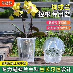 透明控根盆蝴蝶兰花盆专用兰水苔塑料透气镂空大号家用青山盆