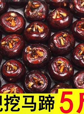 马蹄荸荠安徽农家现挖去泥水晶大果蔬菜水果包邮农家自种红