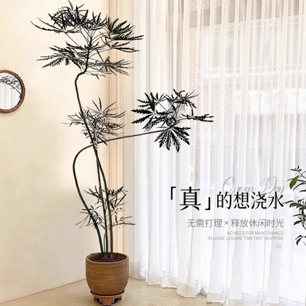 孔雀木仿真绿植高端轻奢客厅仿生假植物室内大型落地盆栽装饰摆件