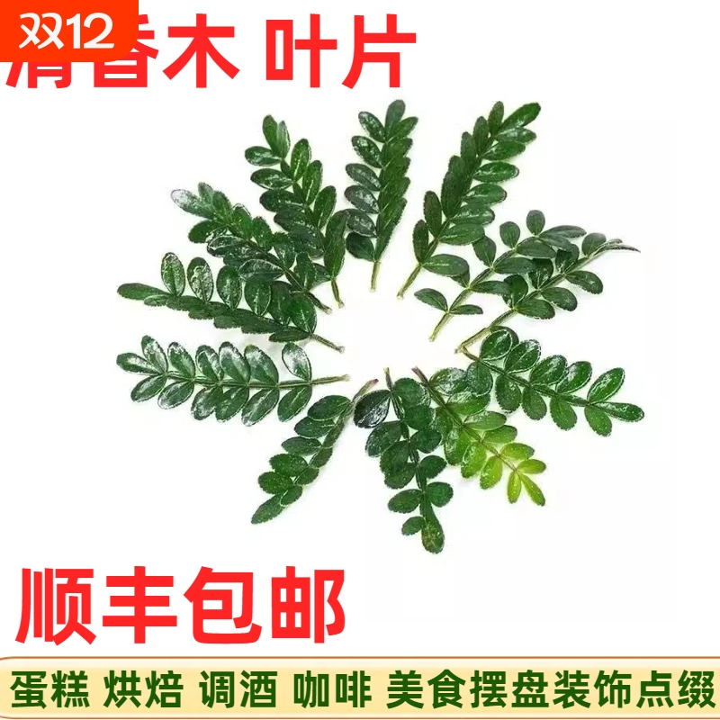 新鲜蛋糕装饰绿植清香木甜品蛋糕冰粉日料西餐烘培装饰摆盘花草