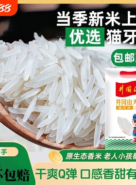 新米猫牙米长粒香苗大米油粘老人的优选富硒新鲜优质特色当季米业