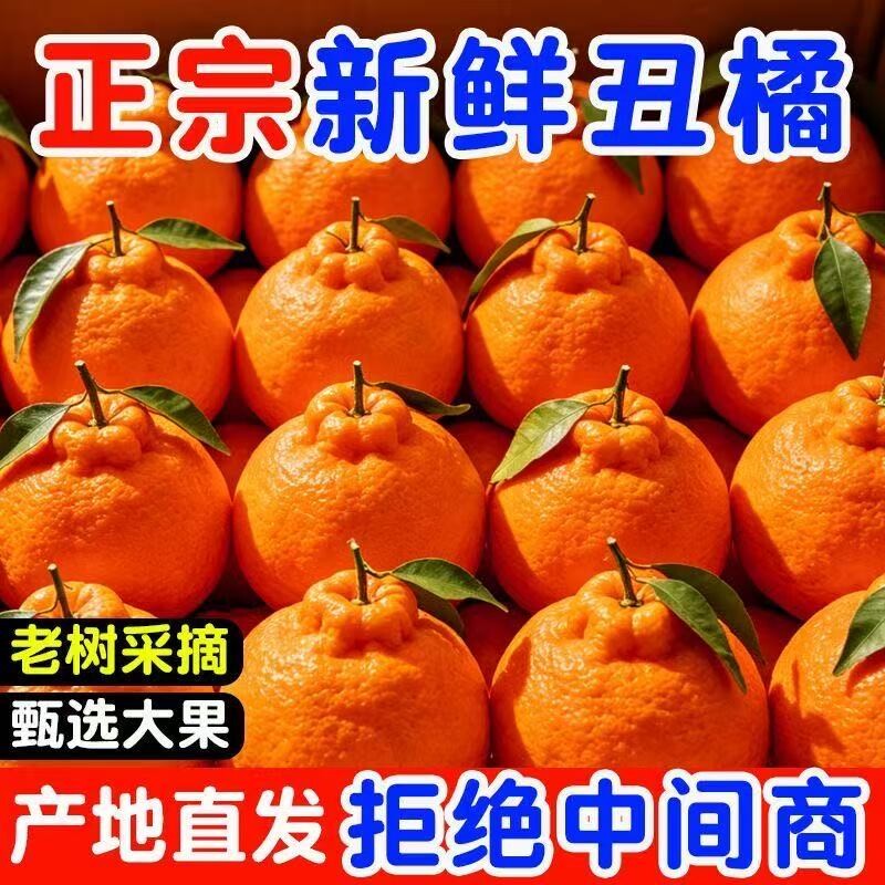 4.5斤正宗高山不知火丑橘