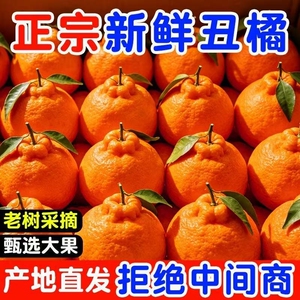 正宗高山不知火丑橘新鲜水果整箱特级丑柑橘丑八怪桔子粑粑桔大果