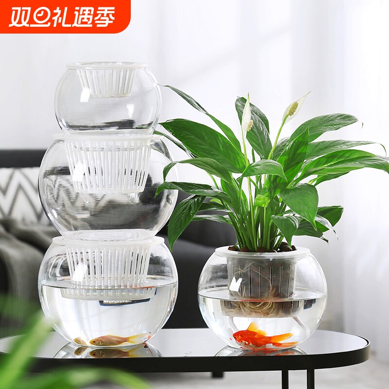 水培植物玻璃花瓶水养绿萝绿植插花器皿客厅桌面装饰摆件特大号