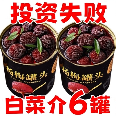 新鲜杨梅罐头应季鲜果大铁罐