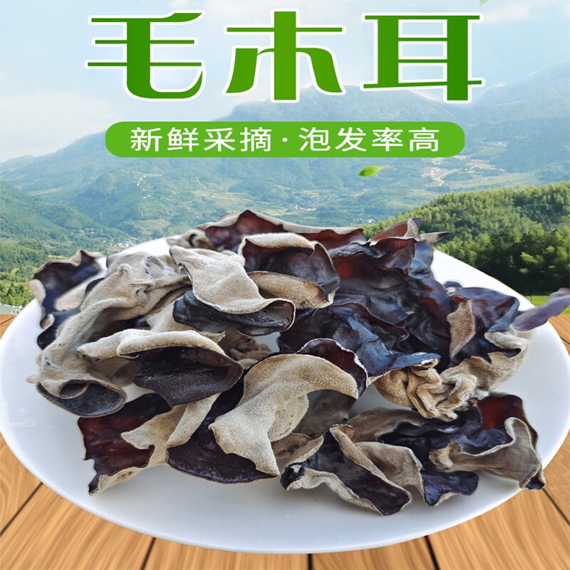 精选白背毛木耳优质大片散装干货500g非东北黑木耳螺蛳粉商用年货