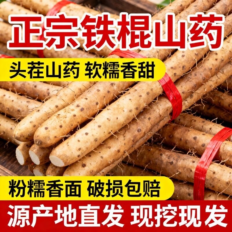 河北正宗铁棍山药麻山药小白嘴山药新鲜现挖淮山药多规格可选软糯