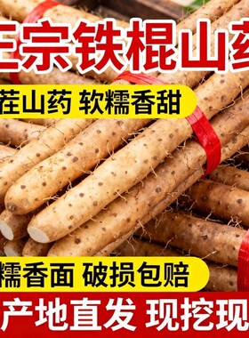 河北正宗铁棍山药多规格可选