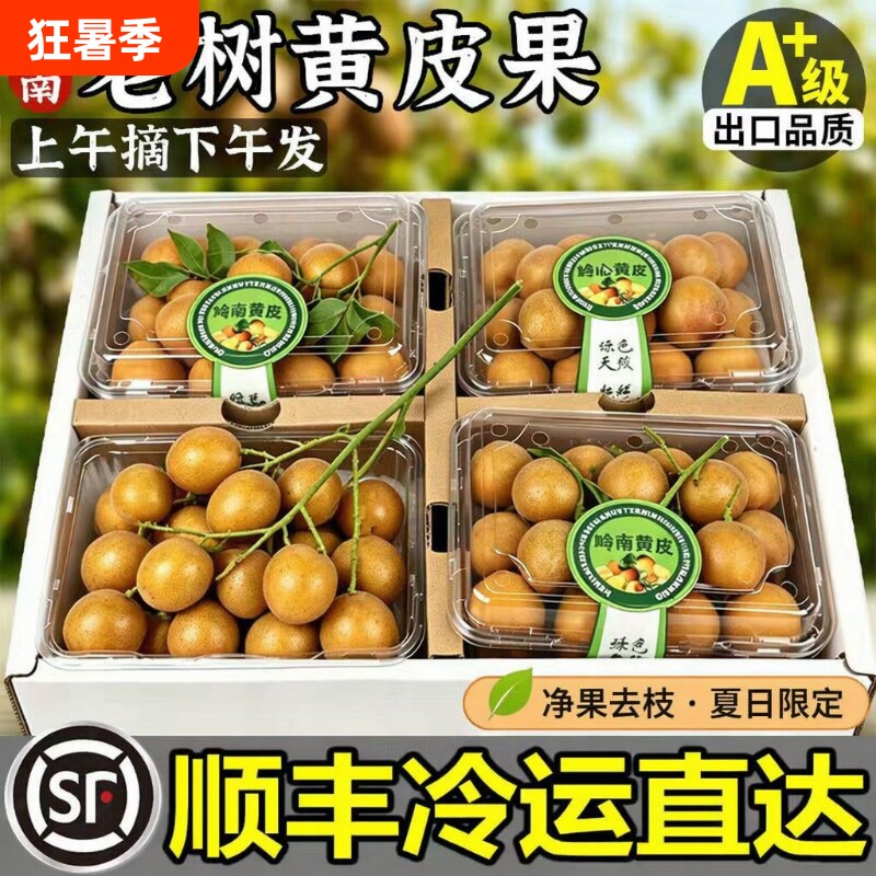 黄皮果新鲜顺丰到家正宗广东郁南鸡心老树大果现摘现发非无核当季 - 实物图