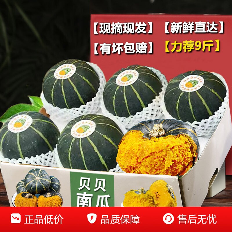 新鲜正宗贝贝小南瓜力荐5斤板栗味南瓜正宗甜粉糯婴儿小南瓜水果2