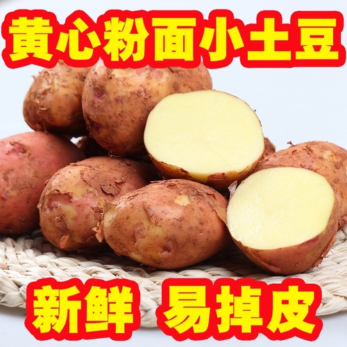 云南高山马铃薯新鲜红皮土豆黄心土豆10斤农家洋芋小土豆蔬菜包邮