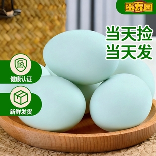 新鲜正宗农家散养虫草谷物蛋绿壳乌鸡蛋绿皮乌骨土鸡蛋整箱包邮