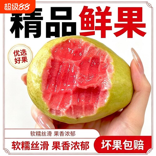 红白心芭乐番石榴软糯软心