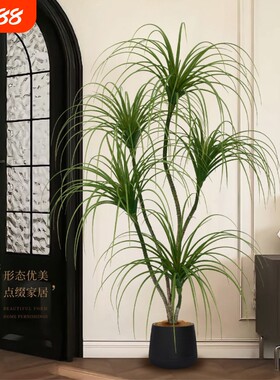 龙须树高端轻奢香龙血树仿真绿植北欧简约现代室内摆件大盆栽植物