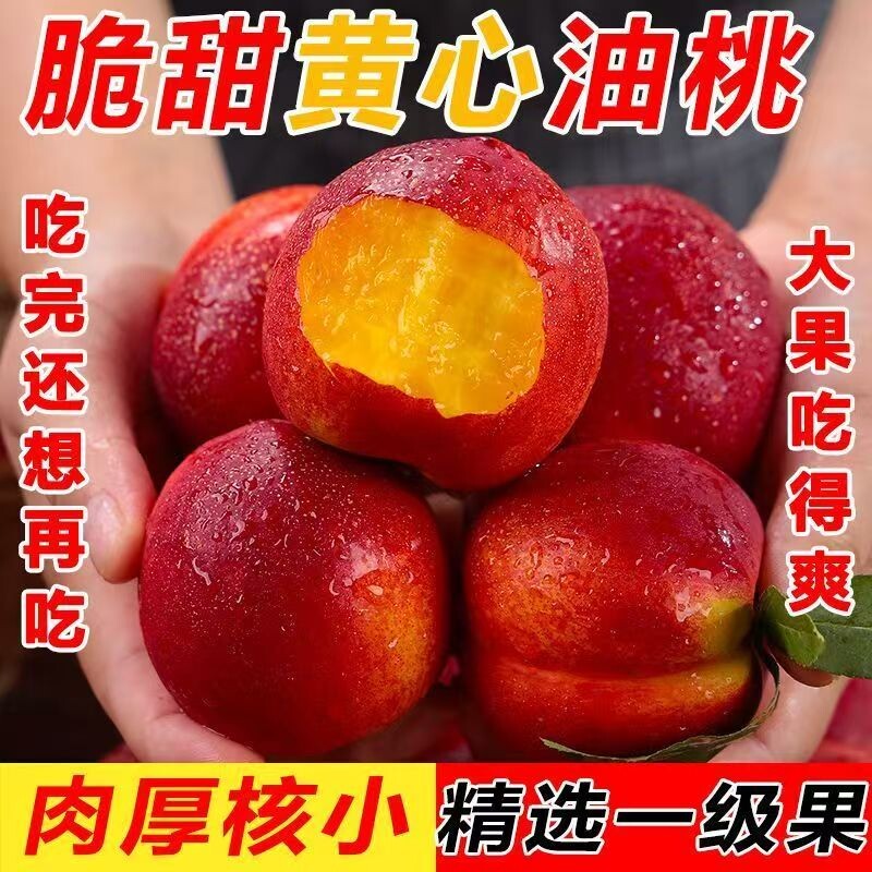 正宗山东麻点黄肉油桃大桃子新鲜水果当季现摘脆甜黄心优选大果