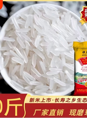 上林原味97香米广西原产晚稻现磨新米猫牙米长粒米丝苗香米10斤装