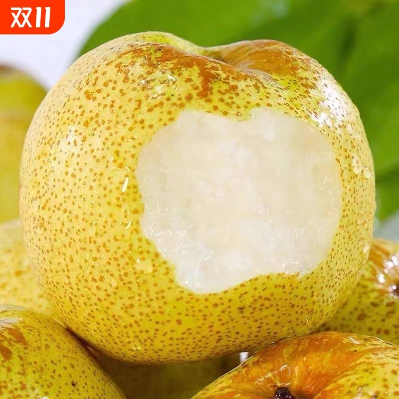 2025���氲����ɽ��������������10�ﾫƷ��������ˮ�� 3�� ��ɽ�����й�200��+