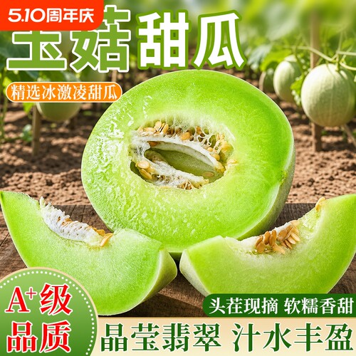 山东单县    玉菇甜瓜现摘现发超软超糯 冰淇淋口感当季新鲜整箱