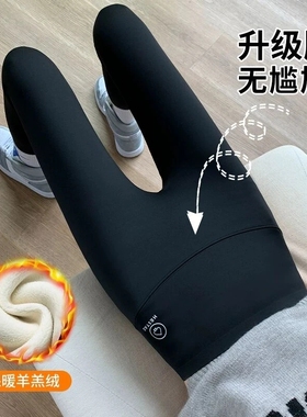 鲨鱼裤打底裤女外穿秋季高腰紧身瑜伽款薄绒灰色黑色羊羔绒加绒