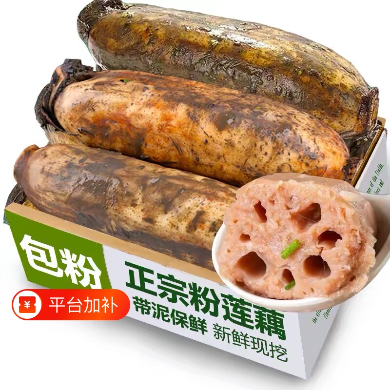 不粉正宗湖北洪湖特产莲藕新鲜粉藕煲汤藕炖汤藕粉糯米藕红藕九孔